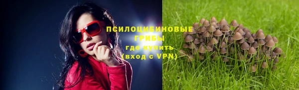 а пвп мука Арсеньев
