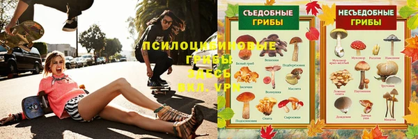 дмт Алексеевка