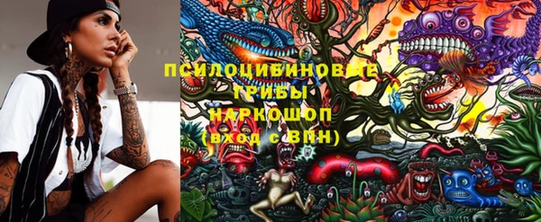a pvp Алексин