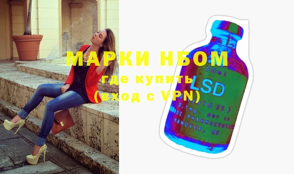 дмт Пересвет